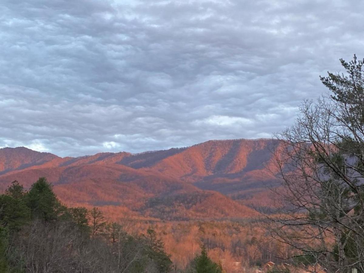 Holiday home Hawks View Mountain *