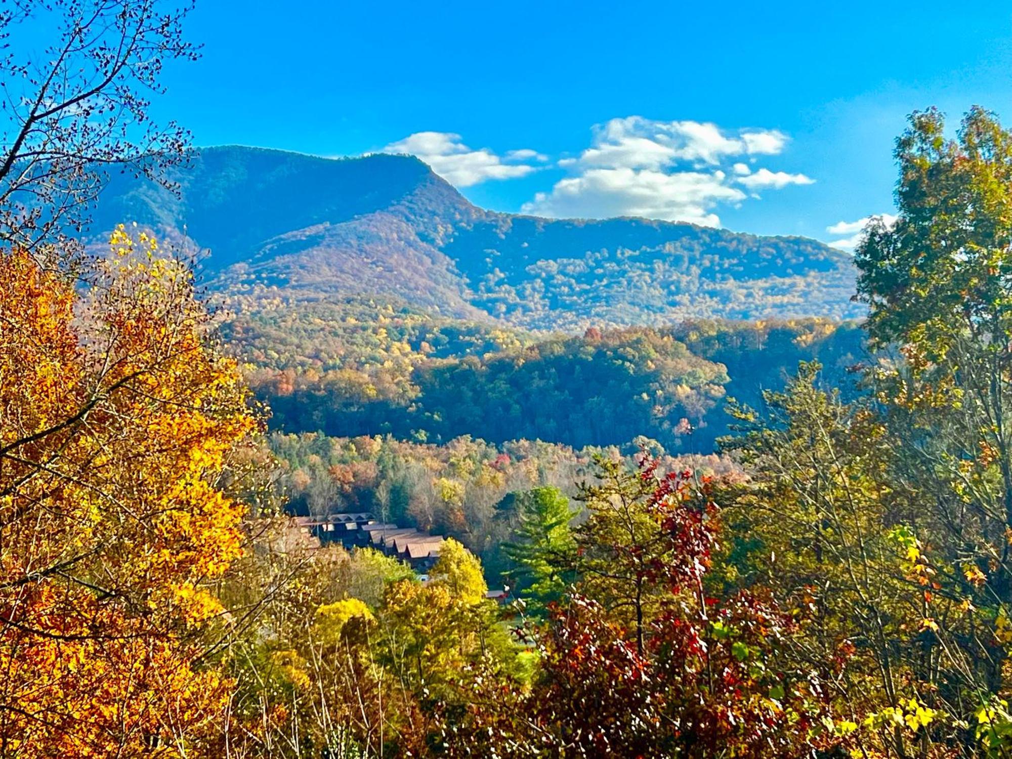 Hawks View Mountain